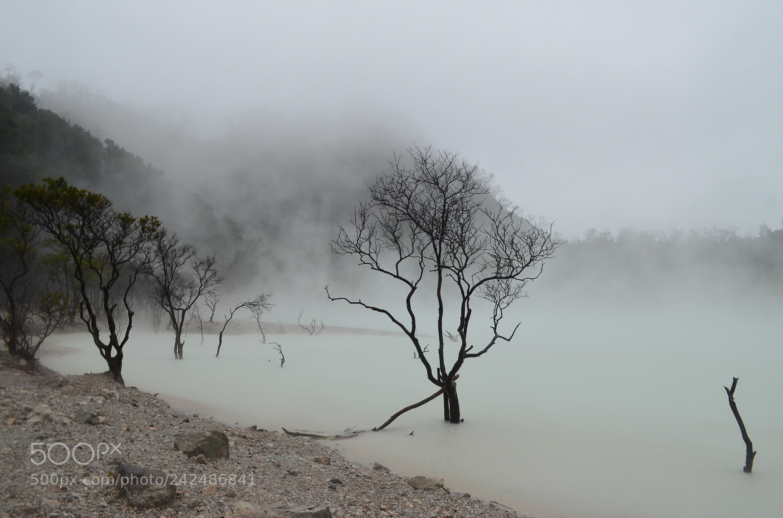 Nikon D5100 sample photo. Kawah putih, java photography