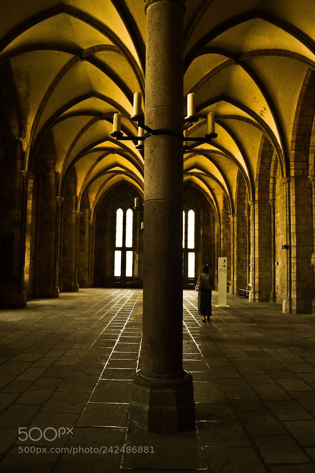 Nikon D3100 sample photo. Beauty of symmetry photography