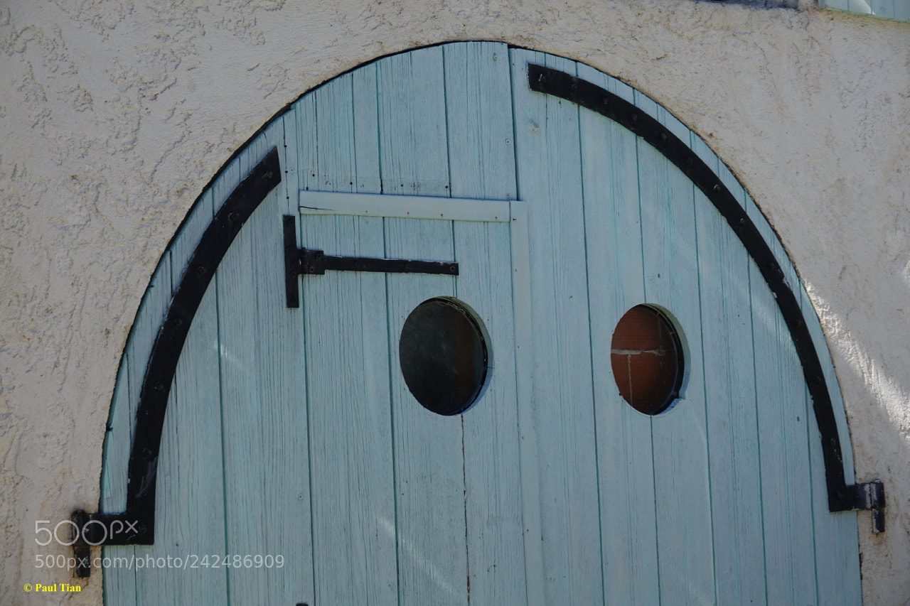 Sony Cyber-shot DSC-RX10 III sample photo. Smiley portal ? photography