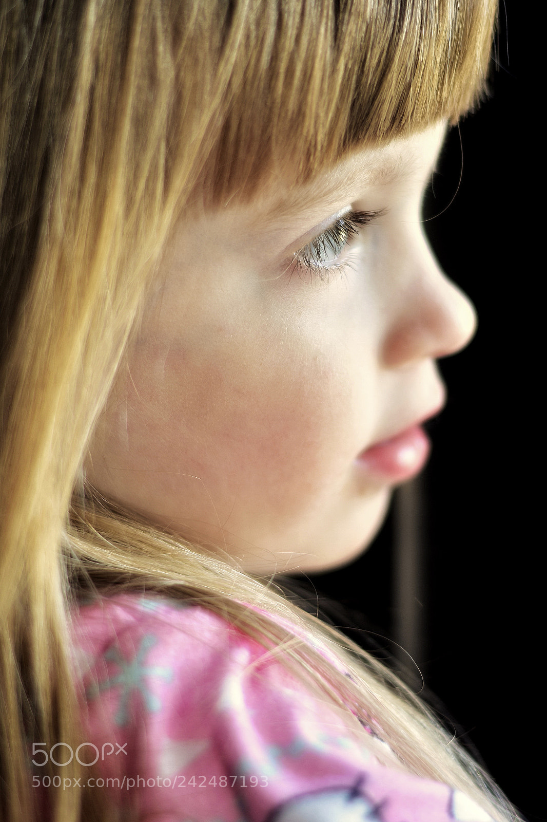 Nikon D5600 sample photo. I wonder what's out photography
