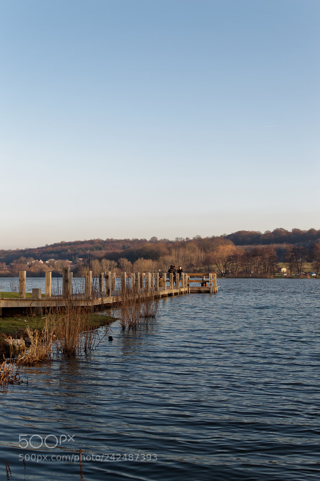 Nikon D3200 + Nikon AF-S DX Nikkor 35mm F1.8G sample photo. Etang des forges photography