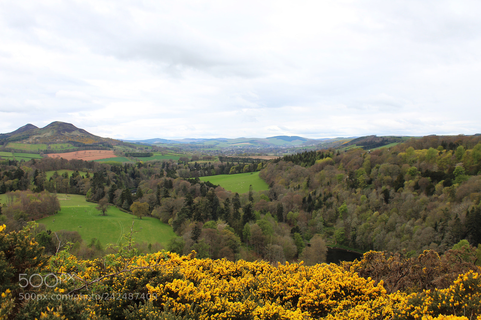 Canon EOS 1300D (EOS Rebel T6 / EOS Kiss X80) sample photo. Scottlish hillside photography