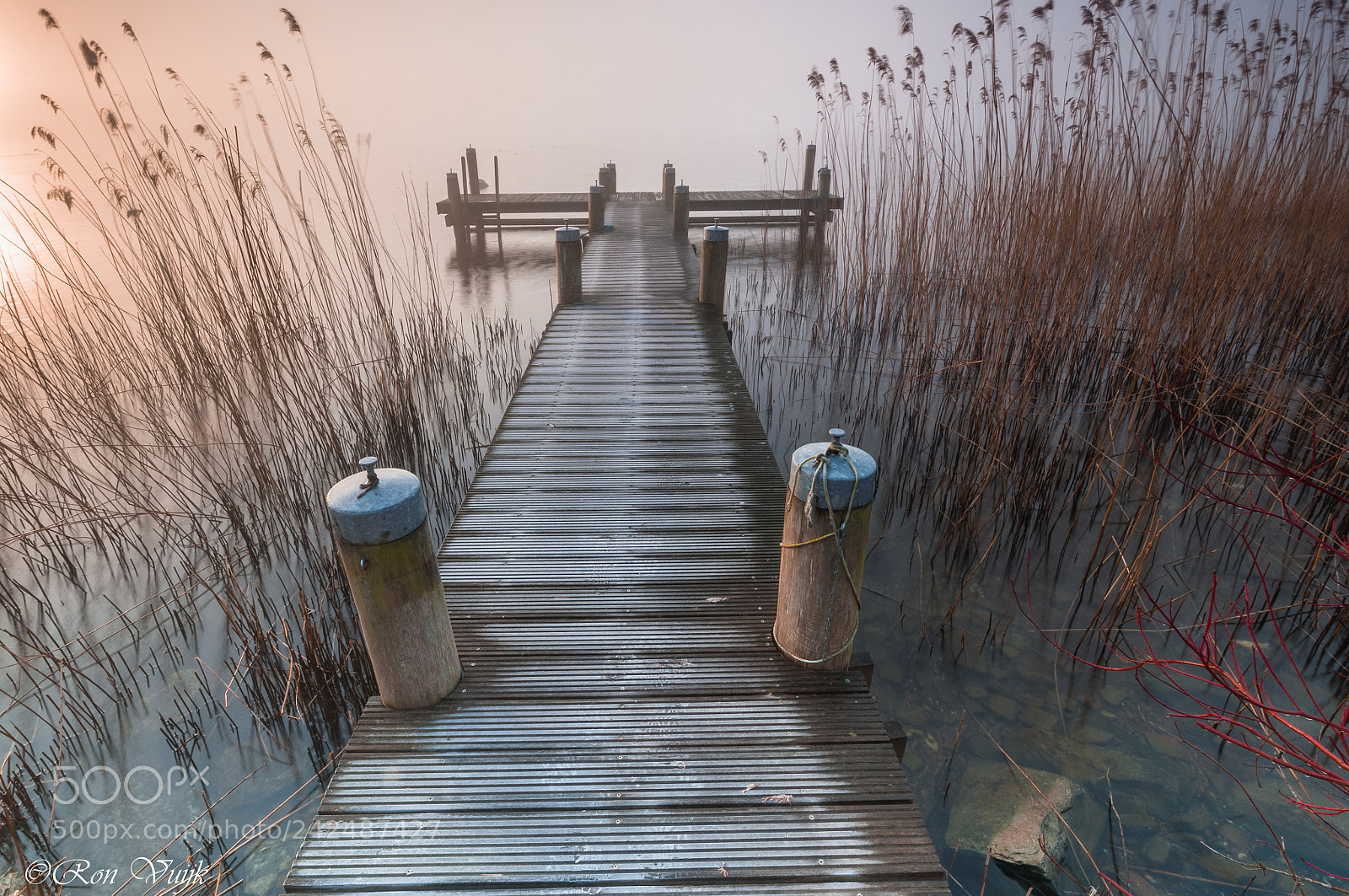 Nikon D300 sample photo. Morning mist photography