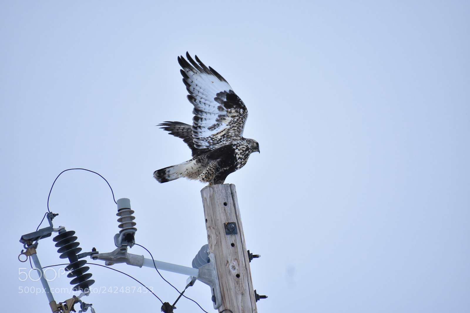 Nikon D3400 sample photo. Ready for takeoff photography