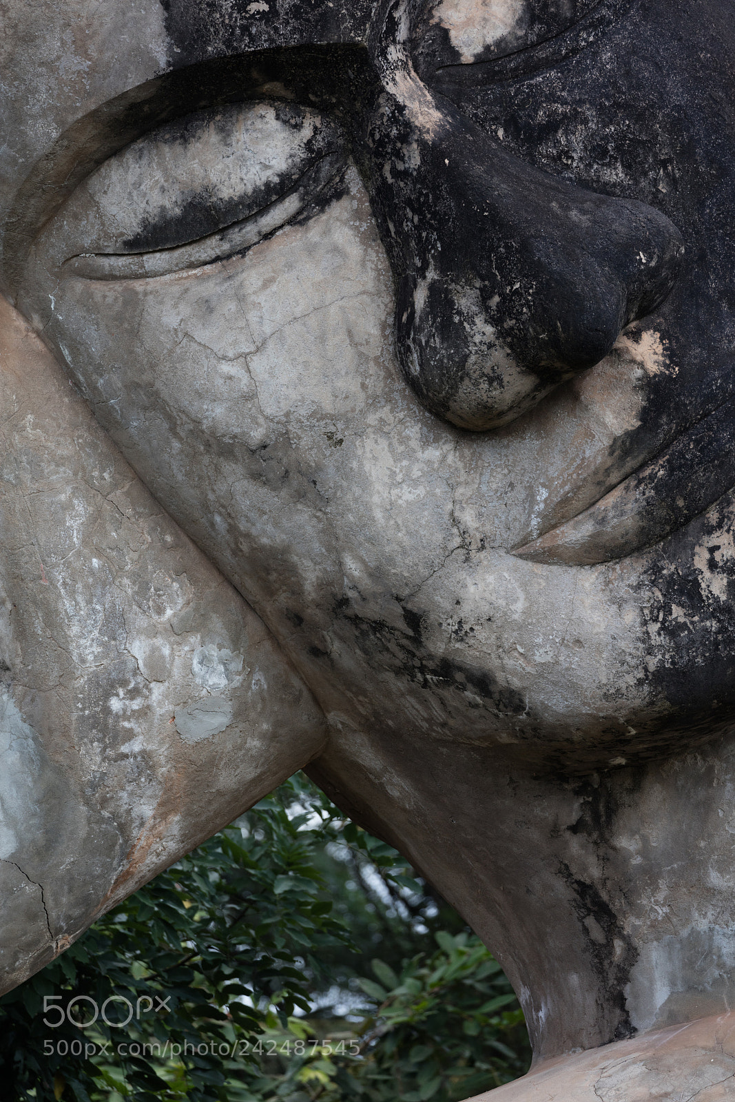 Canon EOS 5DS R sample photo. Wat xieng khuan buddha photography