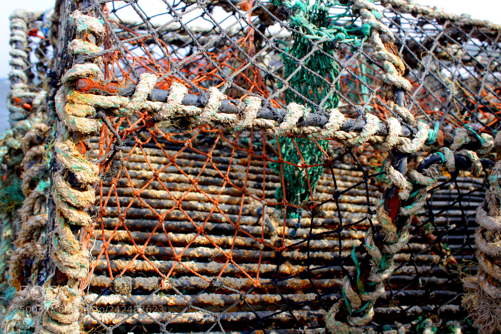 Canon EOS 1300D (EOS Rebel T6 / EOS Kiss X80) sample photo. Crab pots photography