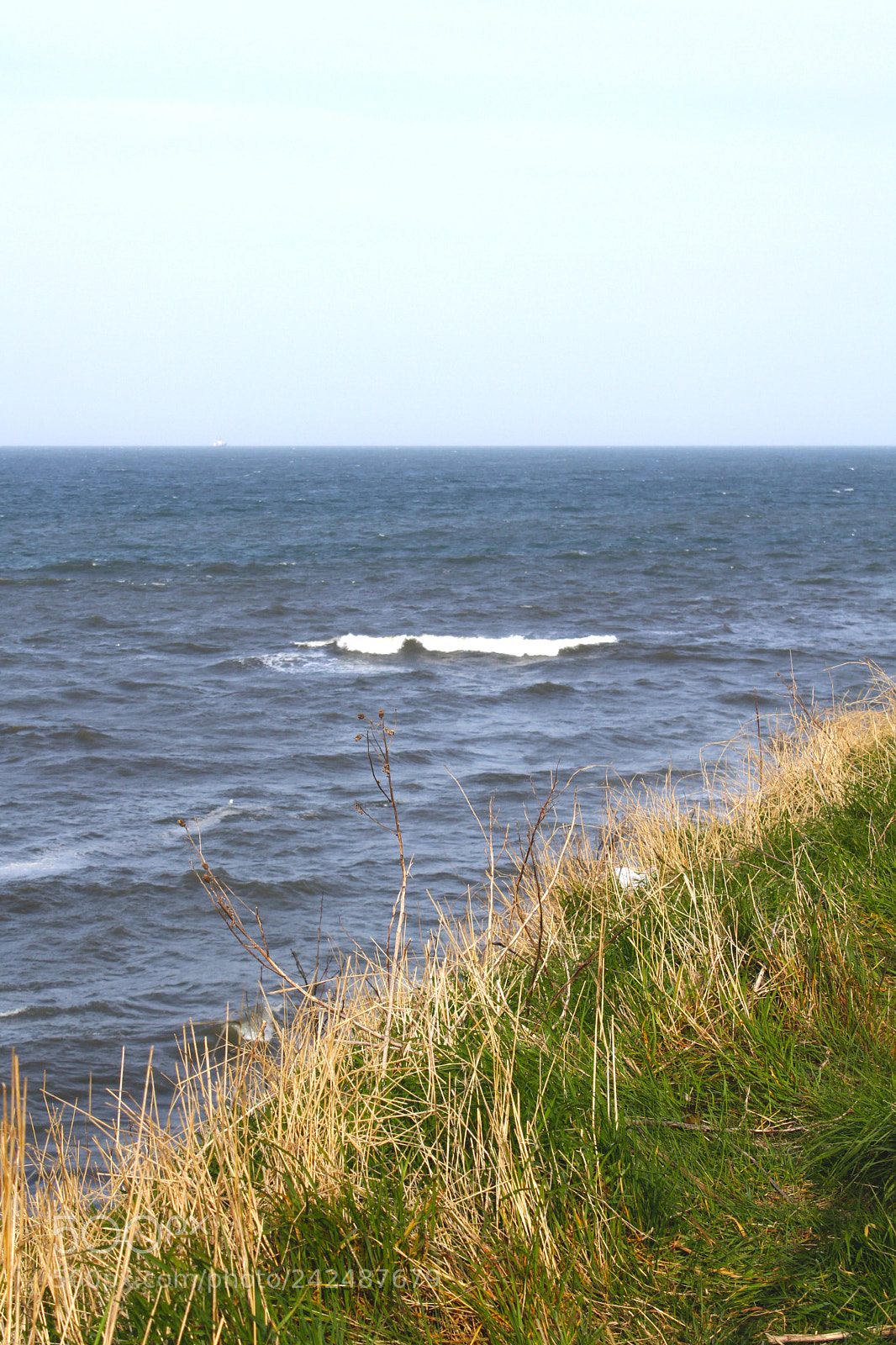Canon EOS 1300D (EOS Rebel T6 / EOS Kiss X80) sample photo. Ocean grasses photography