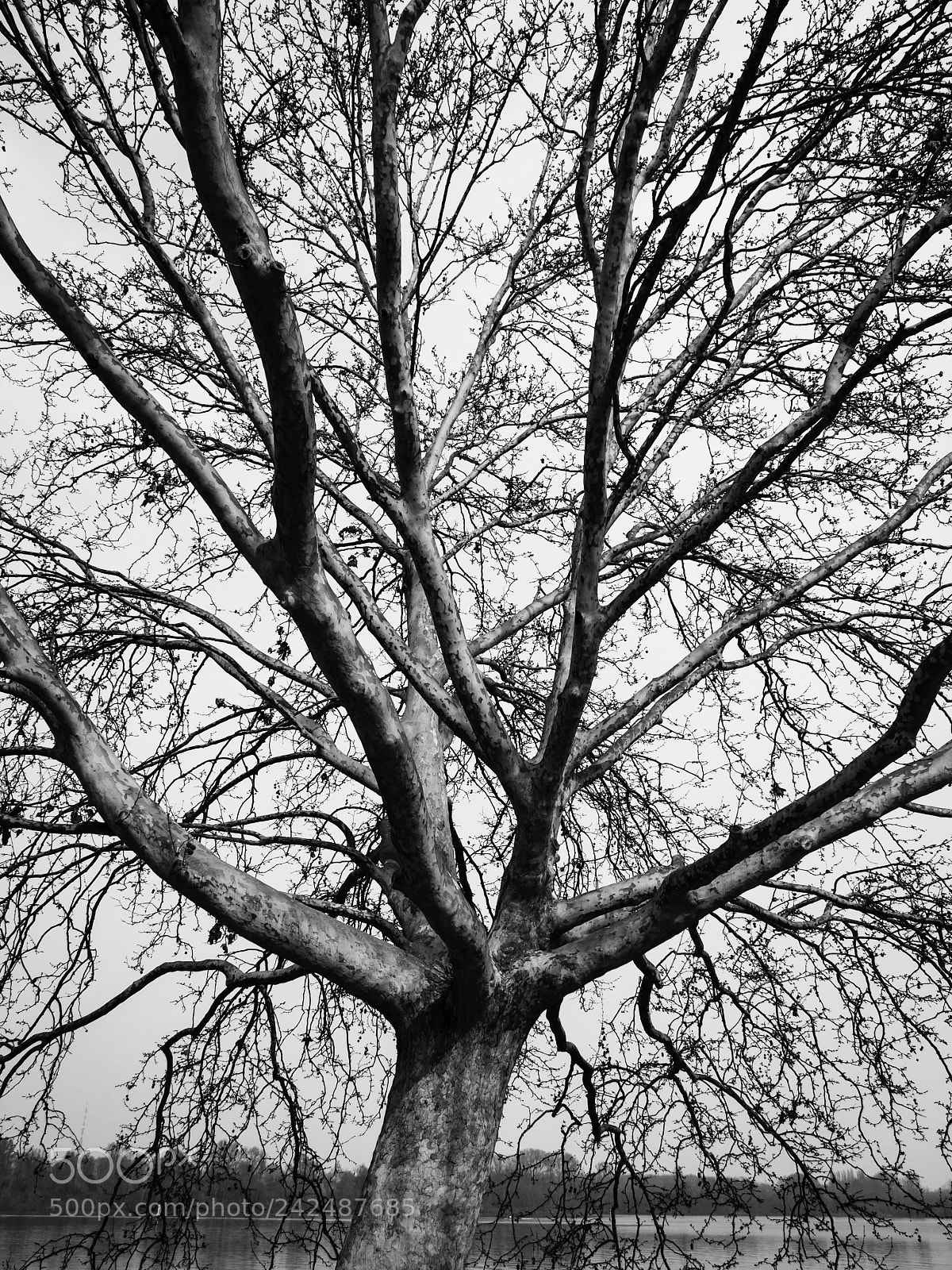 Olympus OM-D E-M10 II sample photo. Mantova - laghetti photography