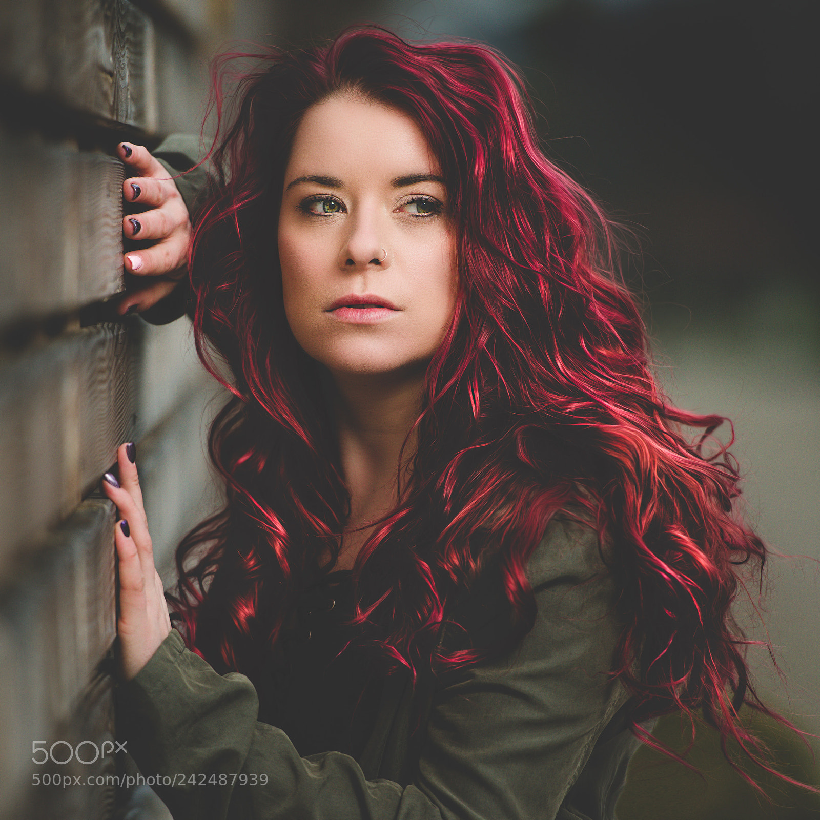 Nikon D610 sample photo. Simply that red photography