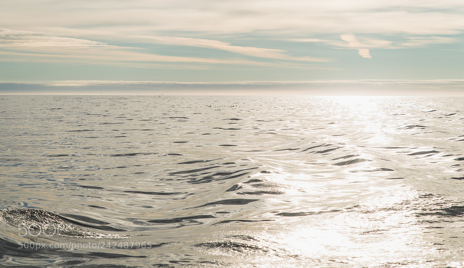 Nikon D800 sample photo. Sun way photography