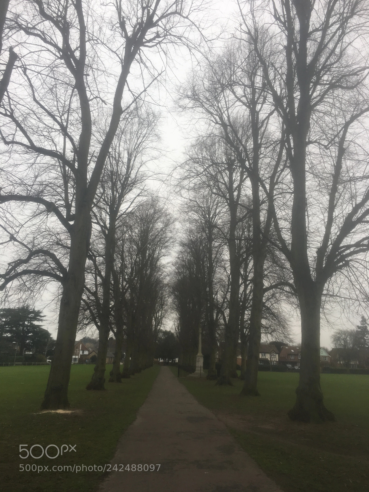 Apple iPhone 6s Plus sample photo. Churchfields avenue. this is photography