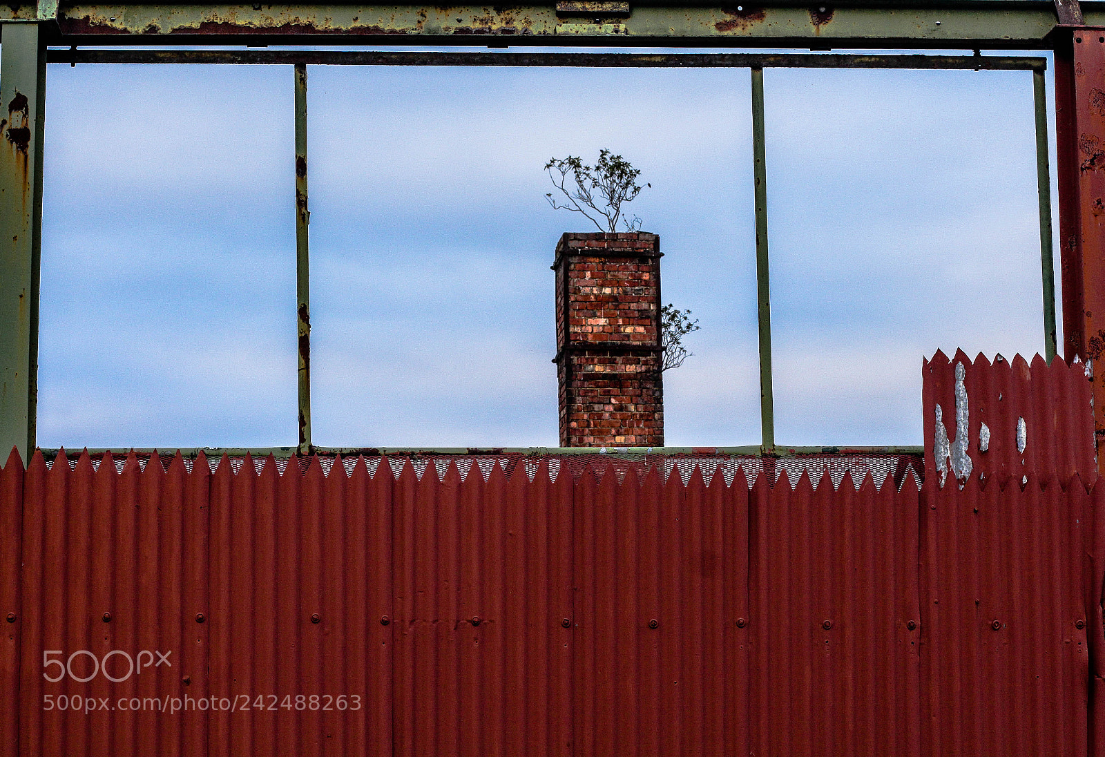 Canon EOS 650D (EOS Rebel T4i / EOS Kiss X6i) sample photo. Chimney and tree ' 17 photography