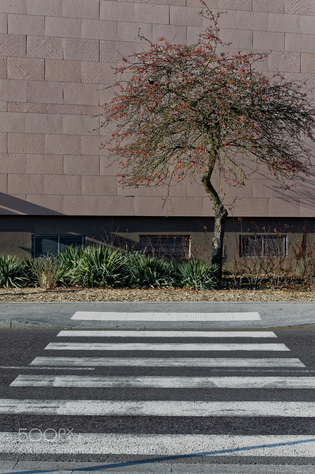Nikon D3200 + Nikon AF-S DX Nikkor 35mm F1.8G sample photo. Zebra crossing in belfort photography