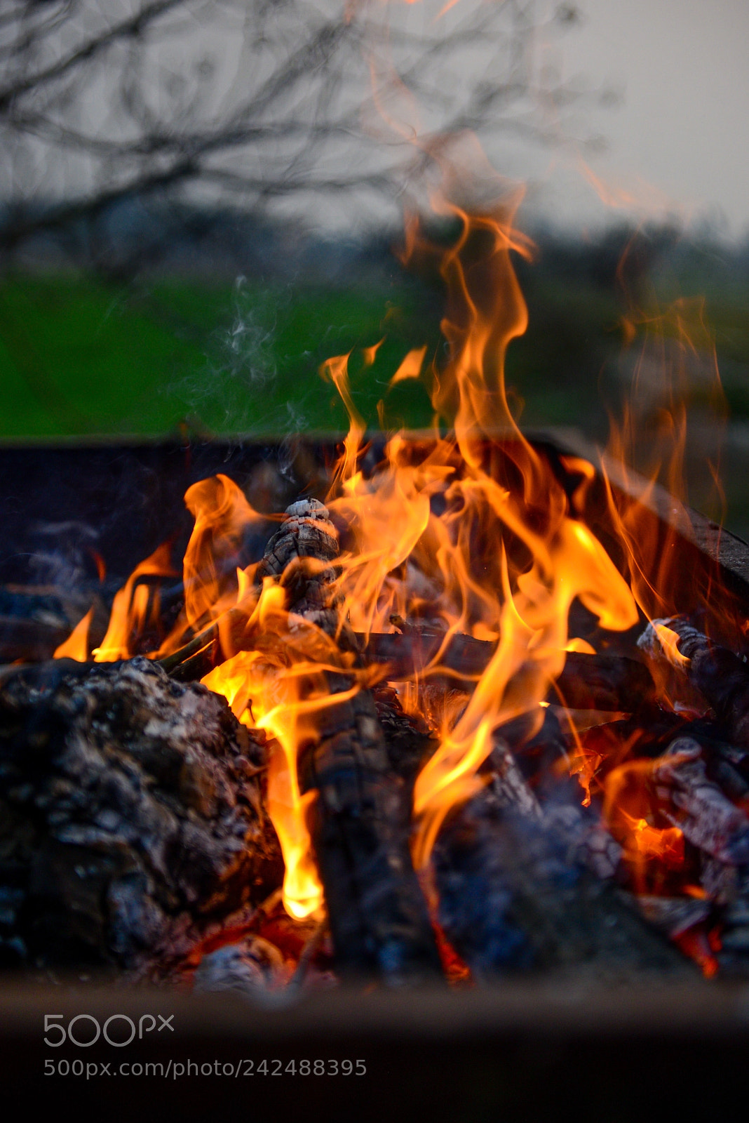 Nikon D610 sample photo. Let's burn photography