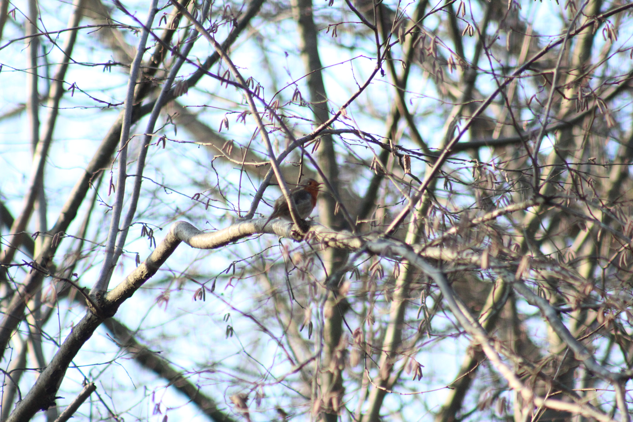 Canon EF 75-300mm f/4-5.6 USM sample photo. Img photography