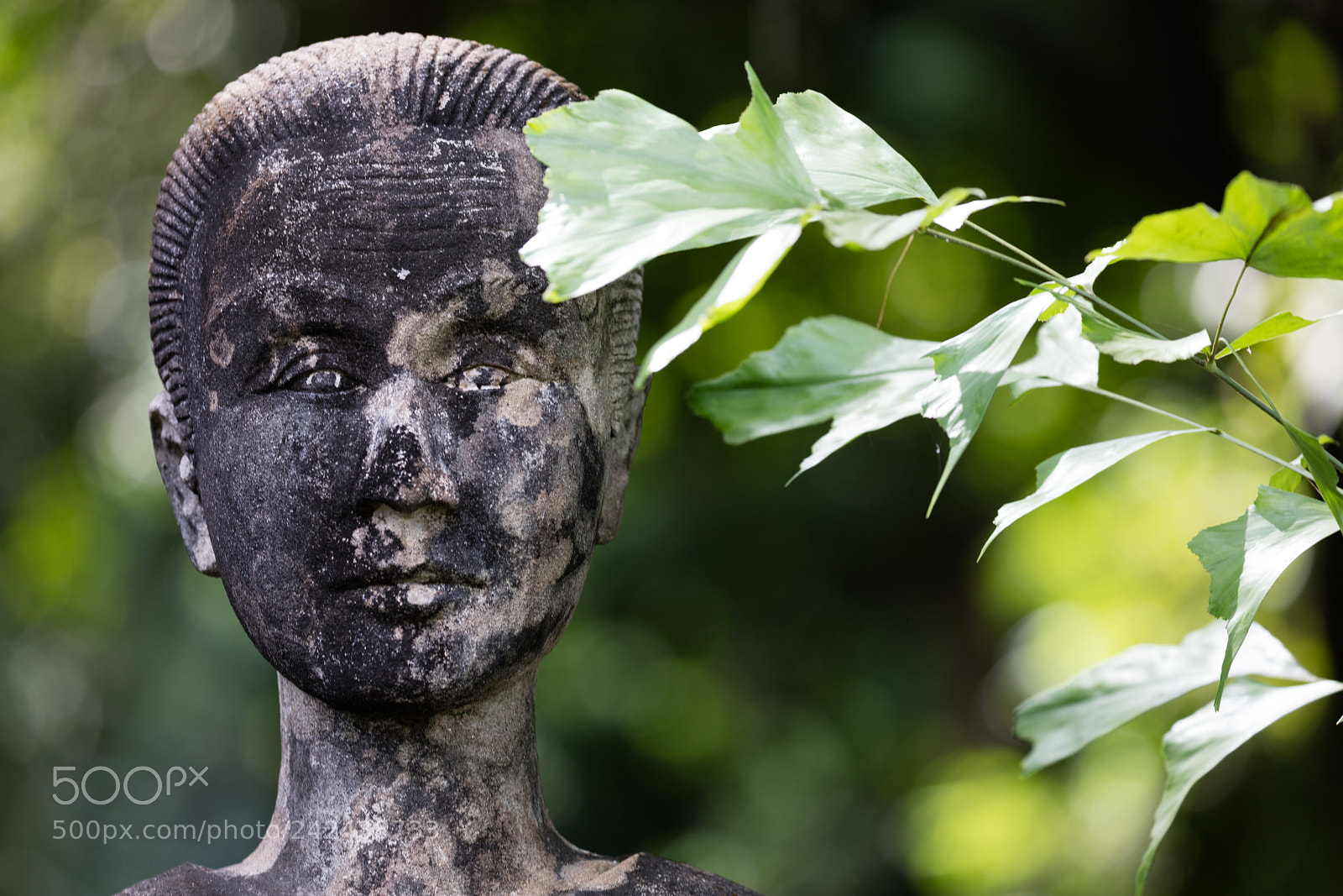 Canon EOS 5DS R sample photo. Wat xieng khuan buddha photography