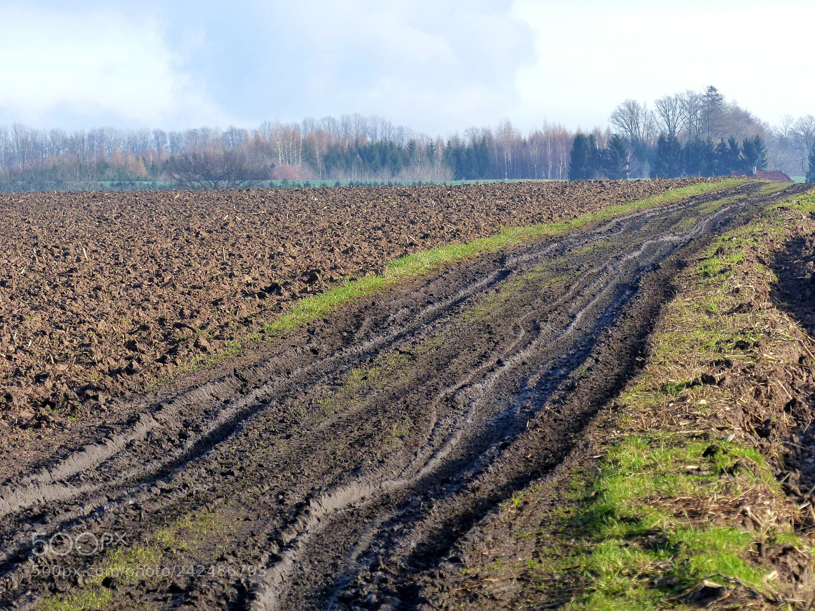Panasonic Lumix DMC-FZ200 sample photo. Muddy road photography
