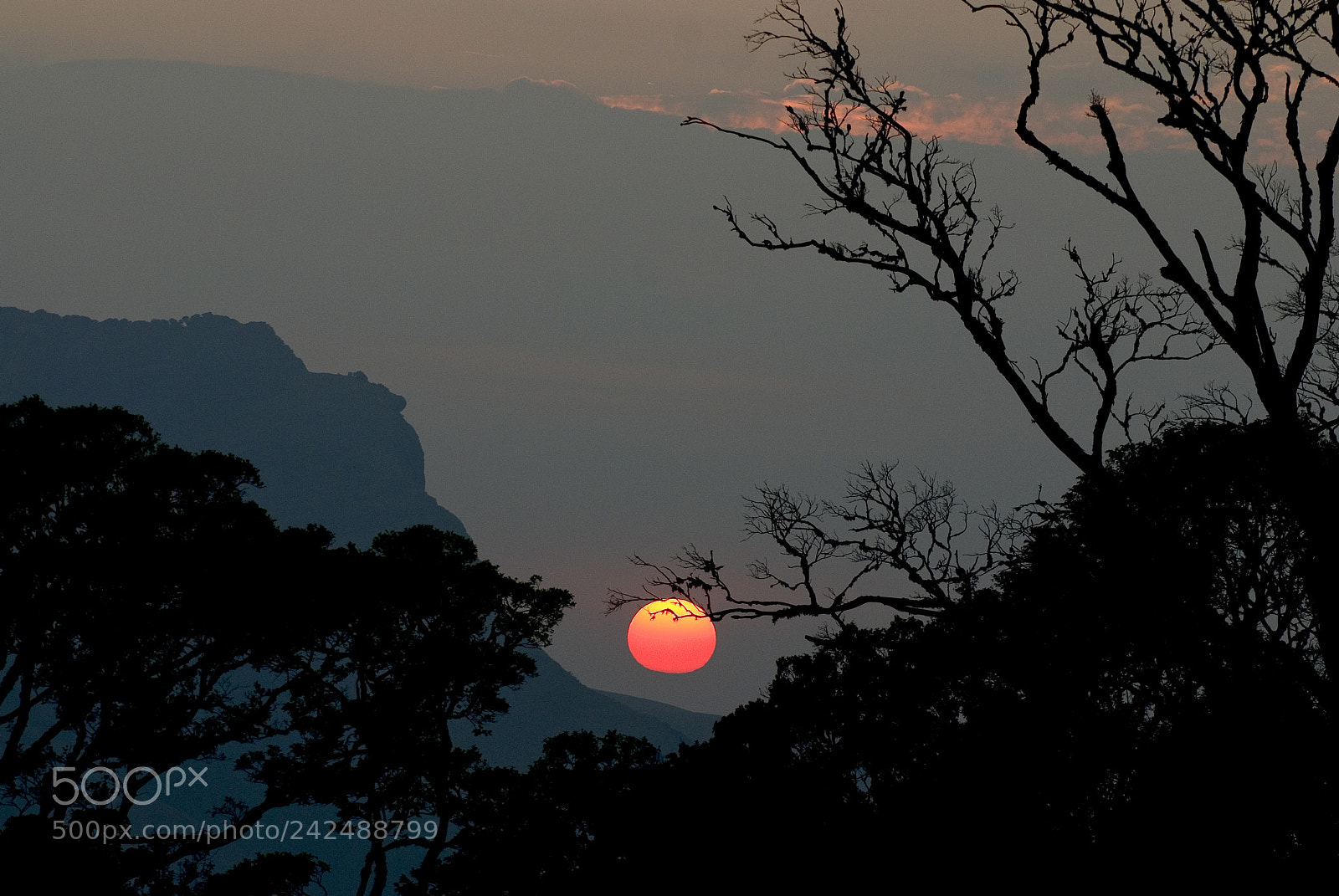 Nikon D80 sample photo. Sun set photography
