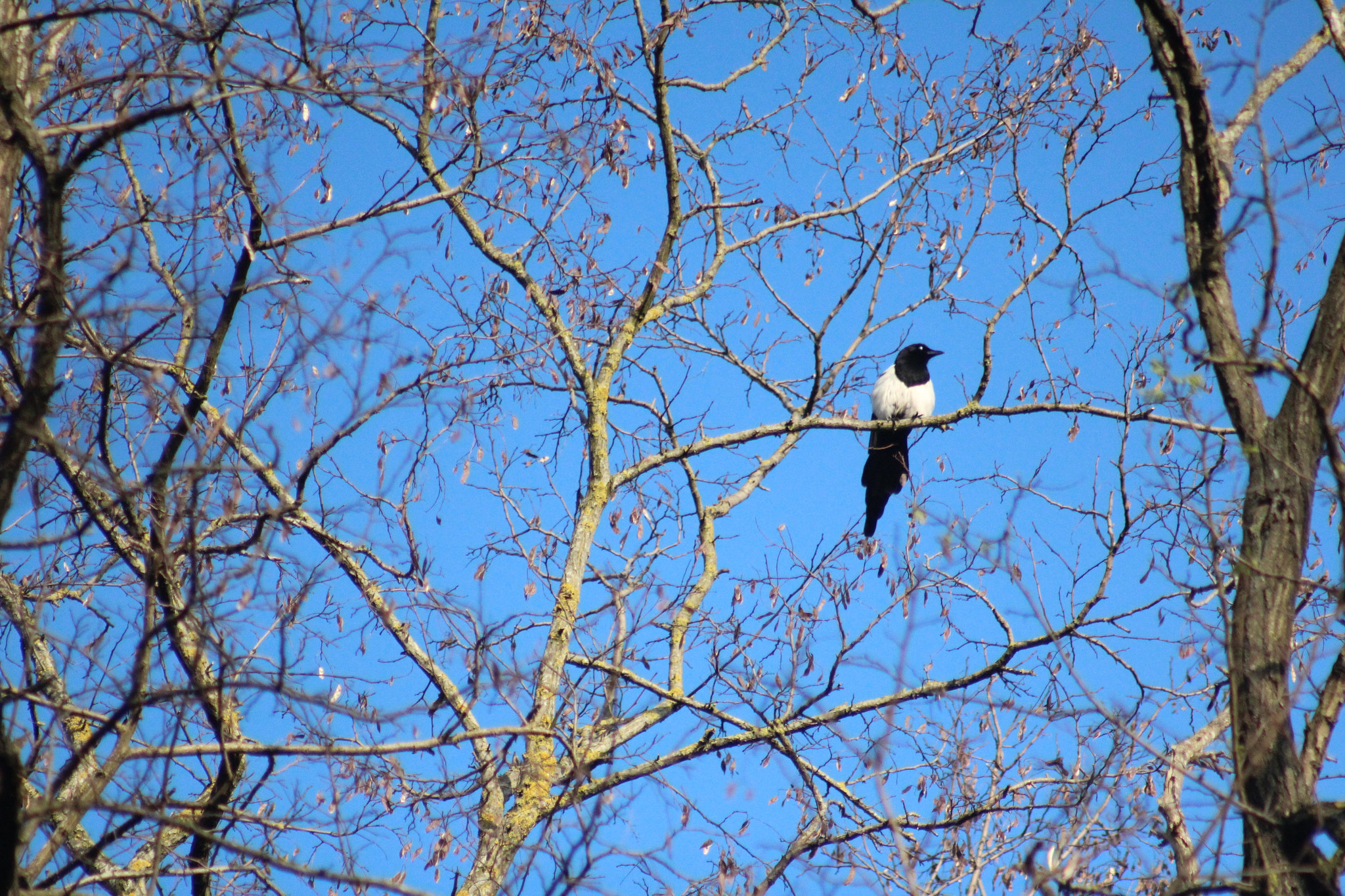 Canon EF 75-300mm f/4-5.6 USM sample photo. Img photography