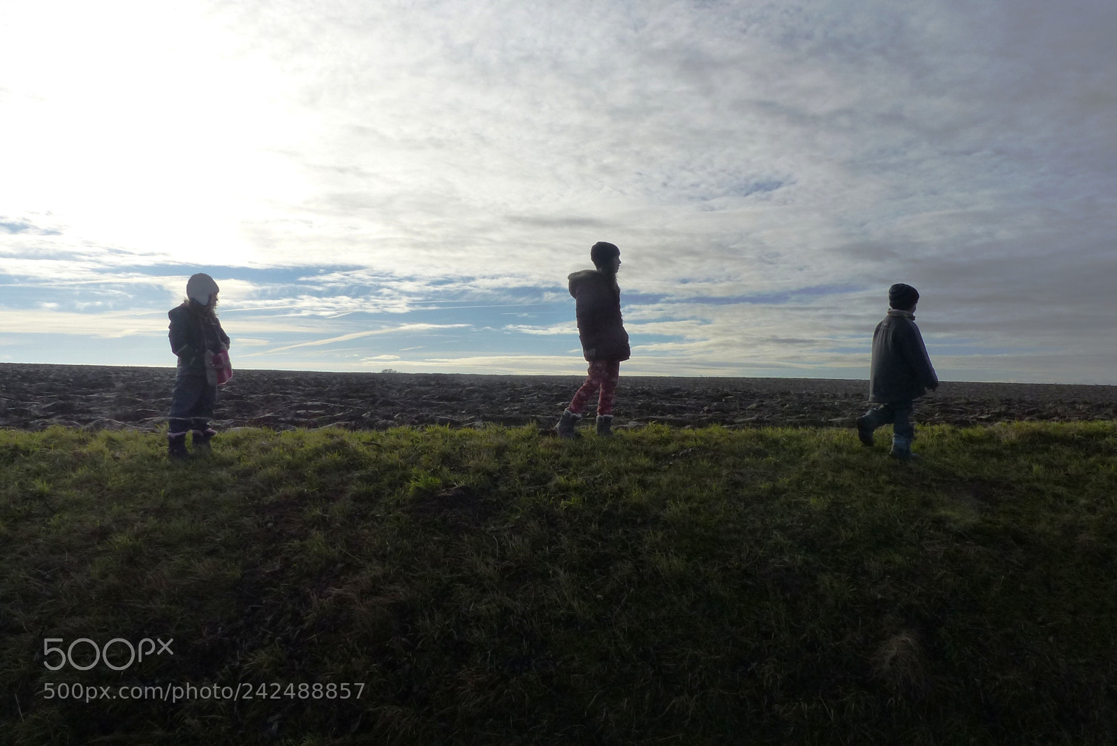 Panasonic Lumix DMC-FZ200 sample photo. Silhouettes photography