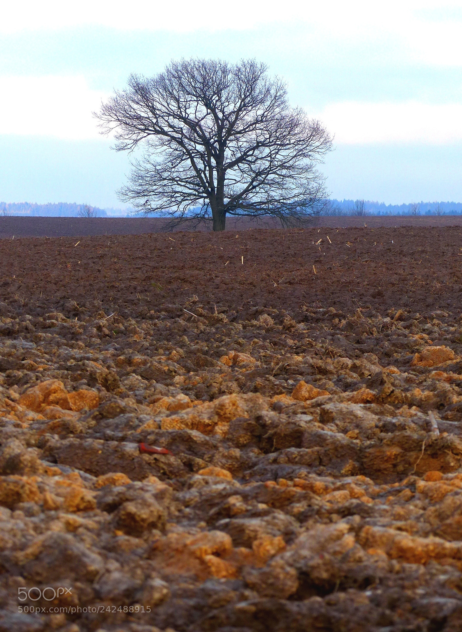 Panasonic Lumix DMC-FZ200 sample photo. Colours of soil photography