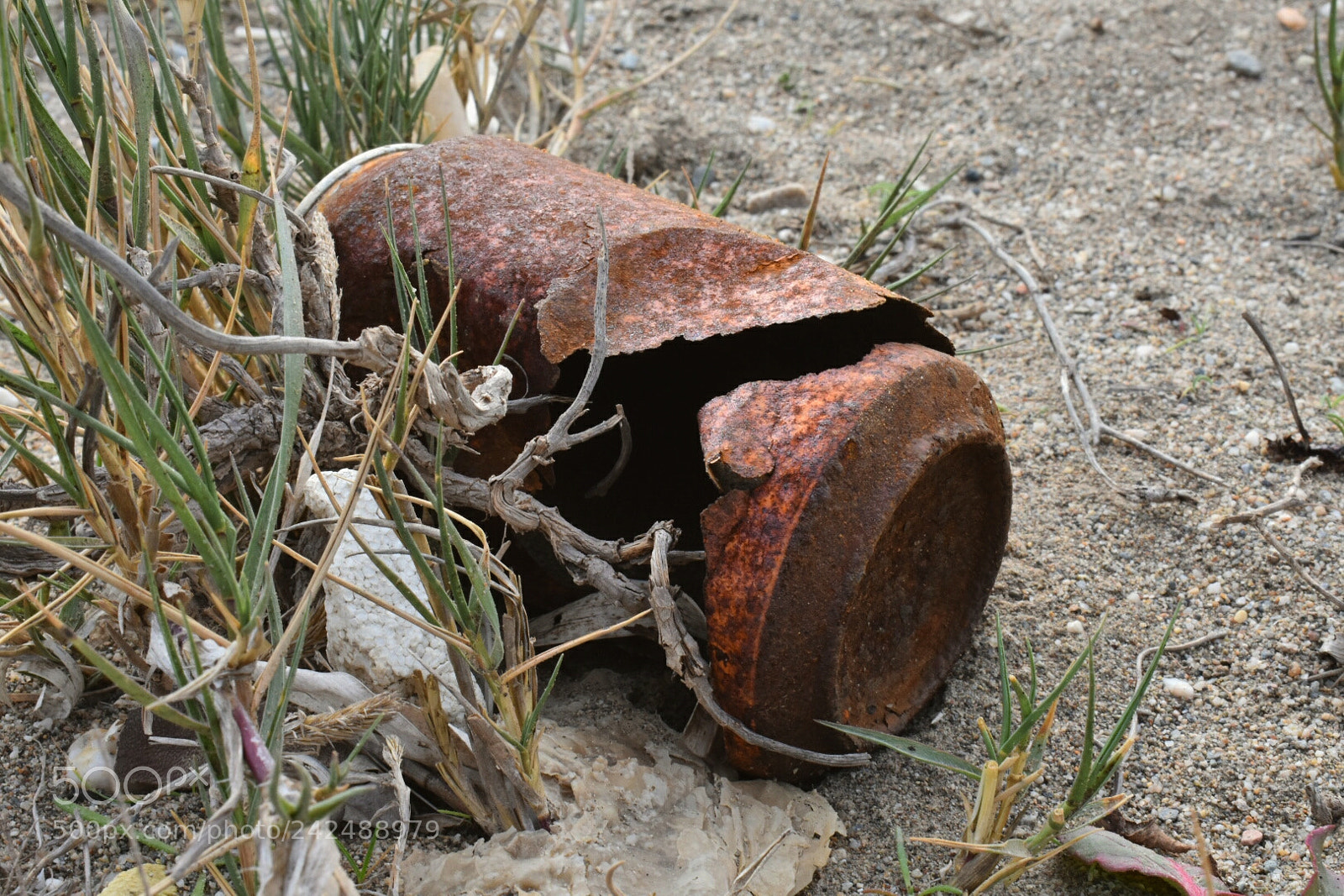 Nikon D3400 sample photo. Rusty photography
