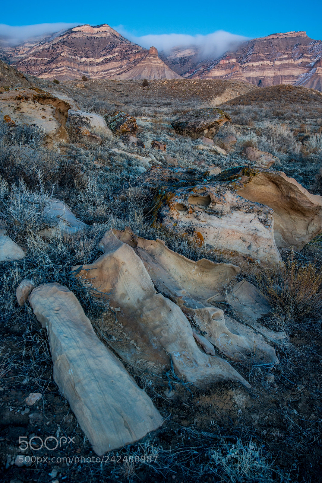 Nikon D800 sample photo. The book cliff blues photography