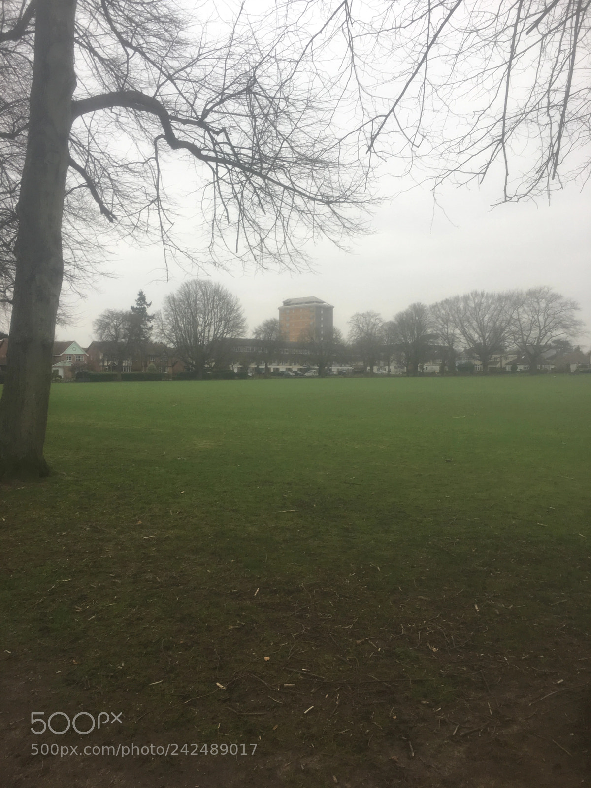 Apple iPhone 6s Plus sample photo. The real churchfields panorama. photography