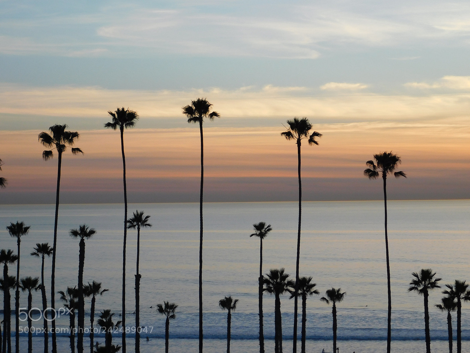 Nikon Coolpix B500 sample photo. Sunset palms photography