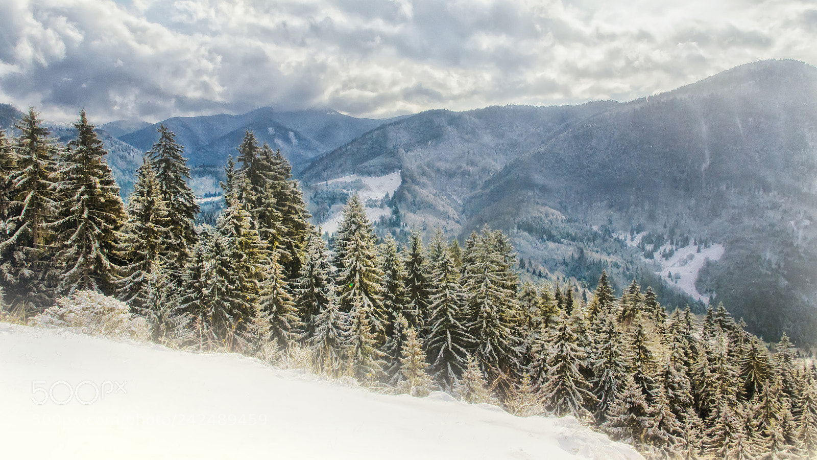 Nikon D5100 sample photo. Winter is coming photography