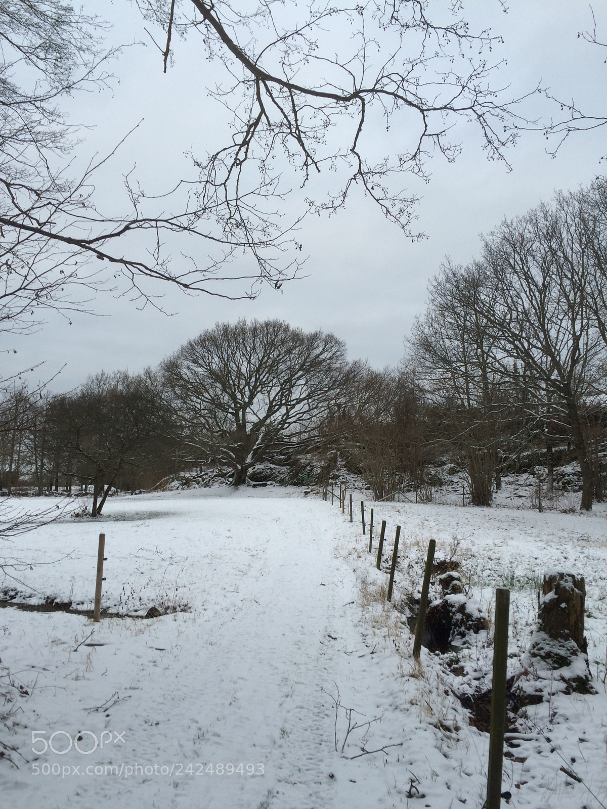 Apple iPhone 5s sample photo. Winter pastures photography