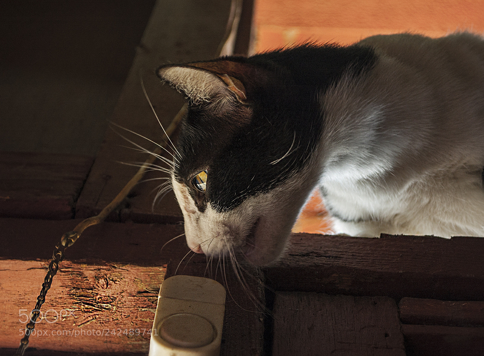 Nikon D70s sample photo. Untitled photography