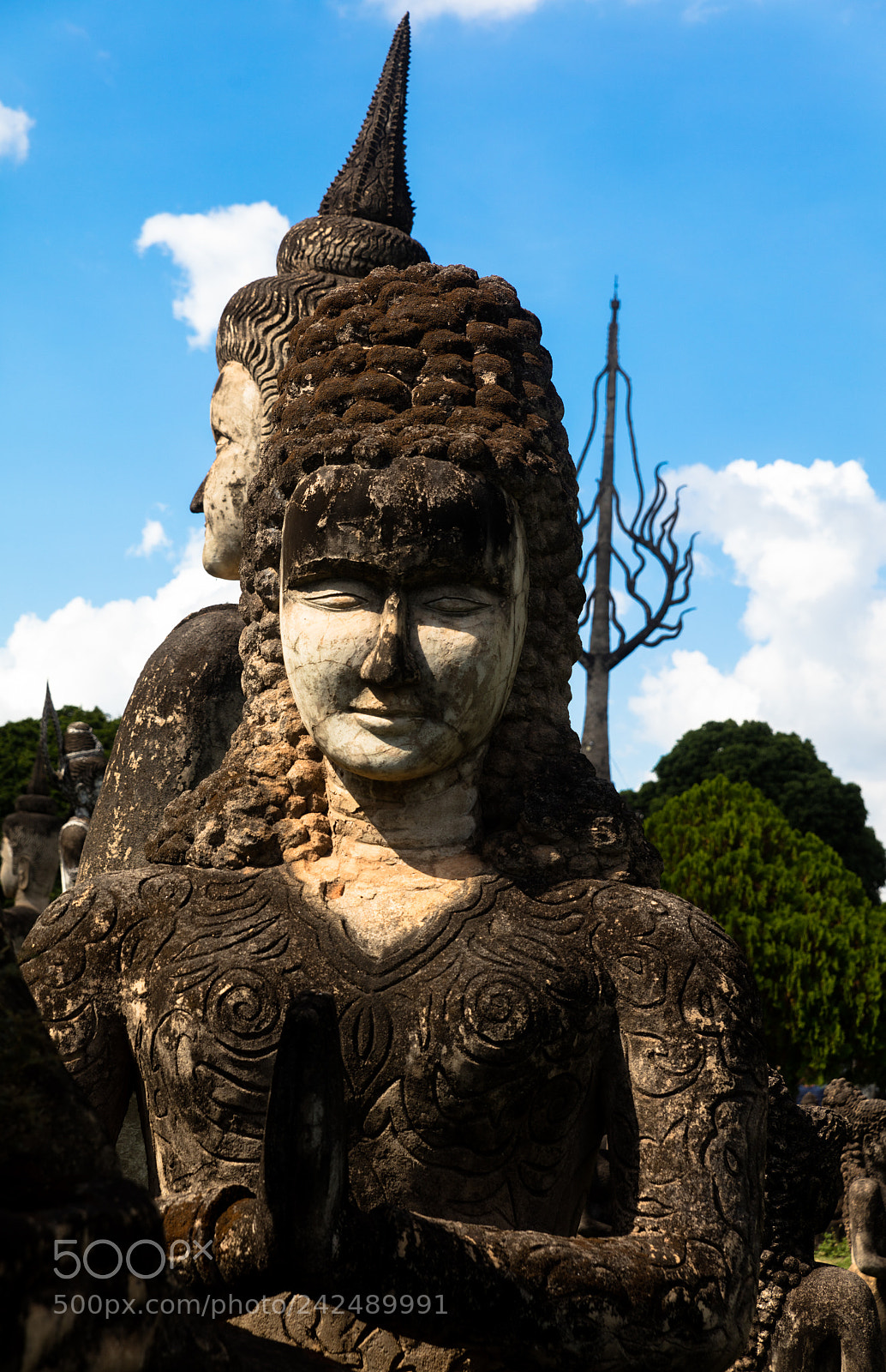 Canon EOS 5DS R sample photo. Wat xieng khuan buddha photography
