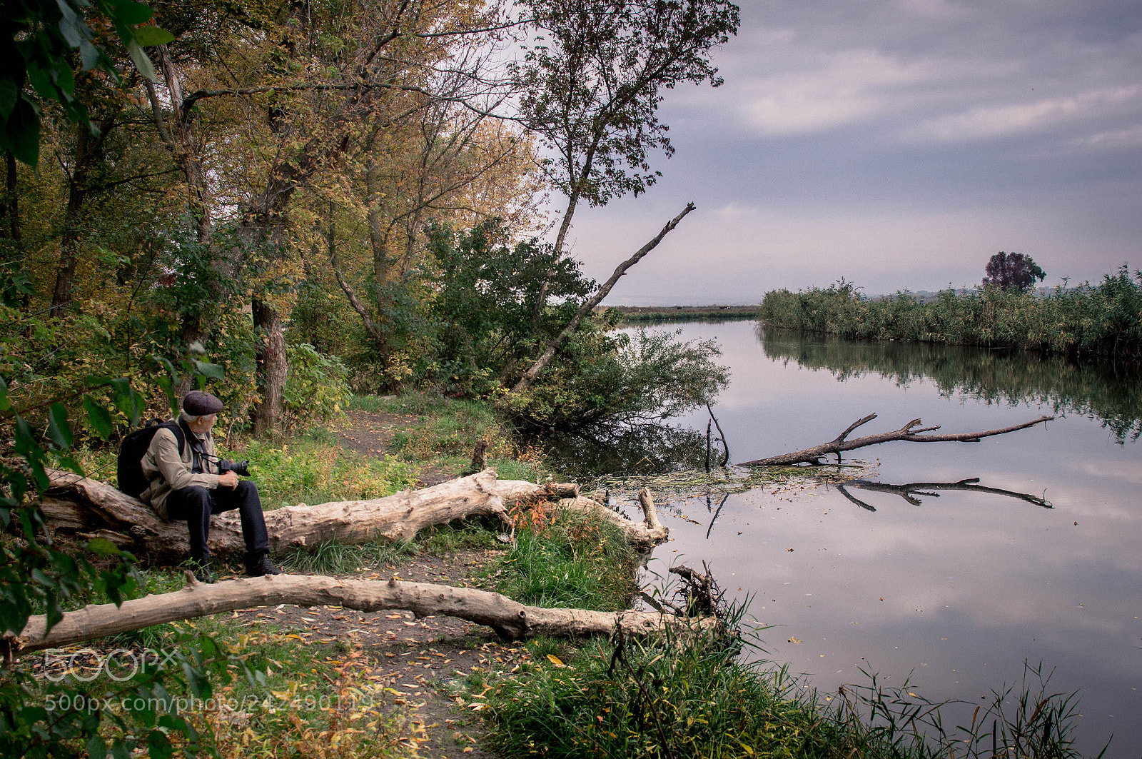 Sony SLT-A37 sample photo. Alone with nature.. photography