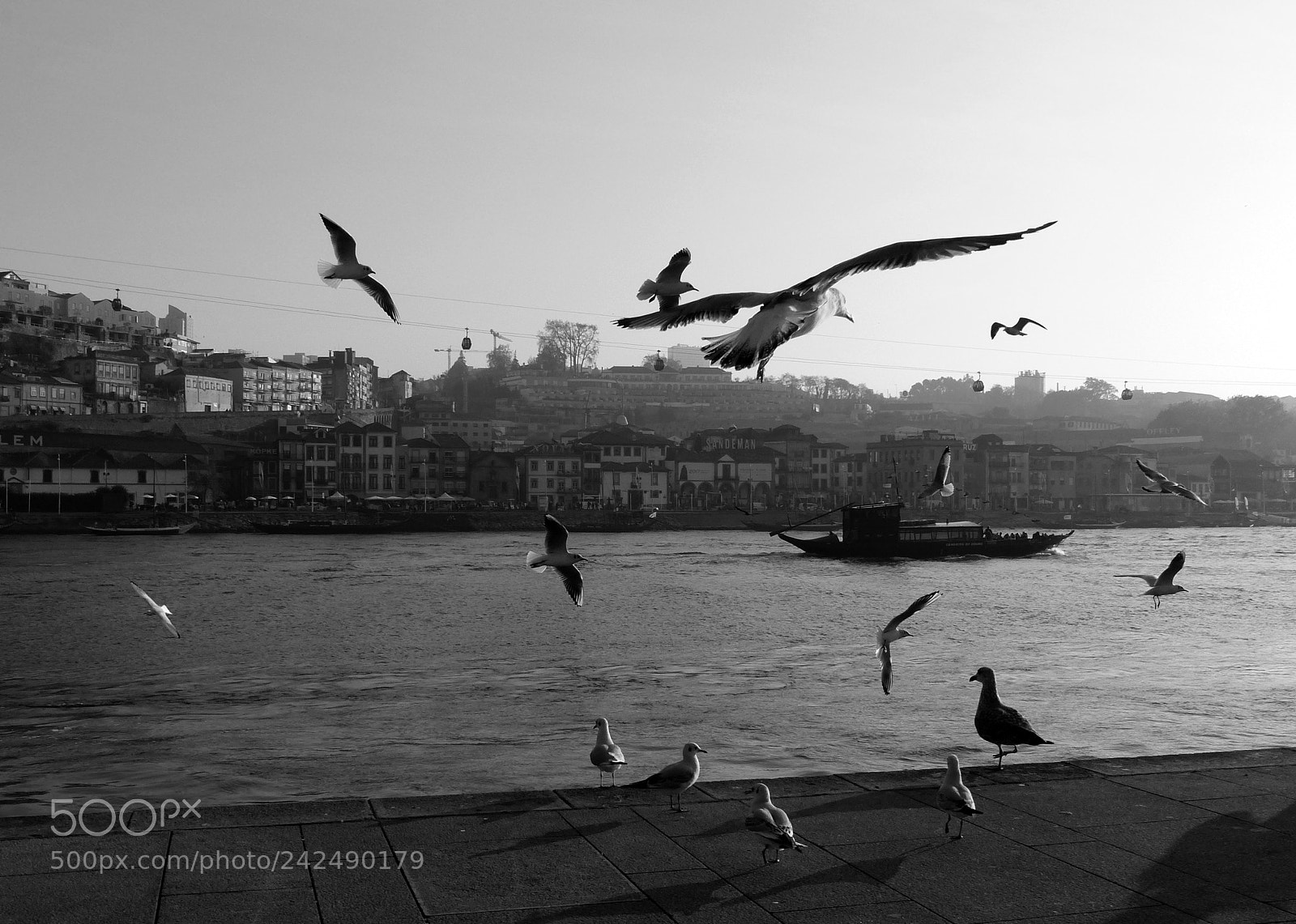 Panasonic Lumix DMC-FZ200 sample photo. P@rtir... photography