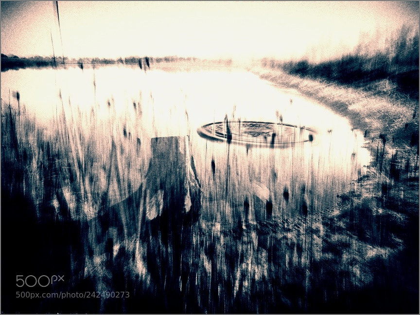 Olympus SP570UZ sample photo. I had a dream photography
