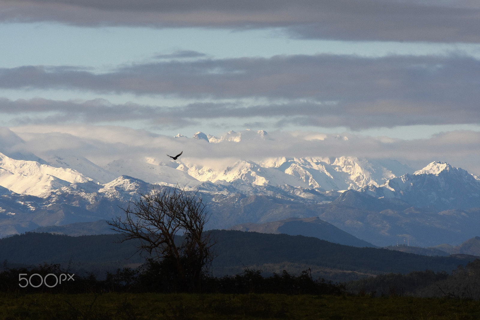 AF Zoom-Nikkor 75-240mm f/4.5-5.6D sample photo. La calma photography