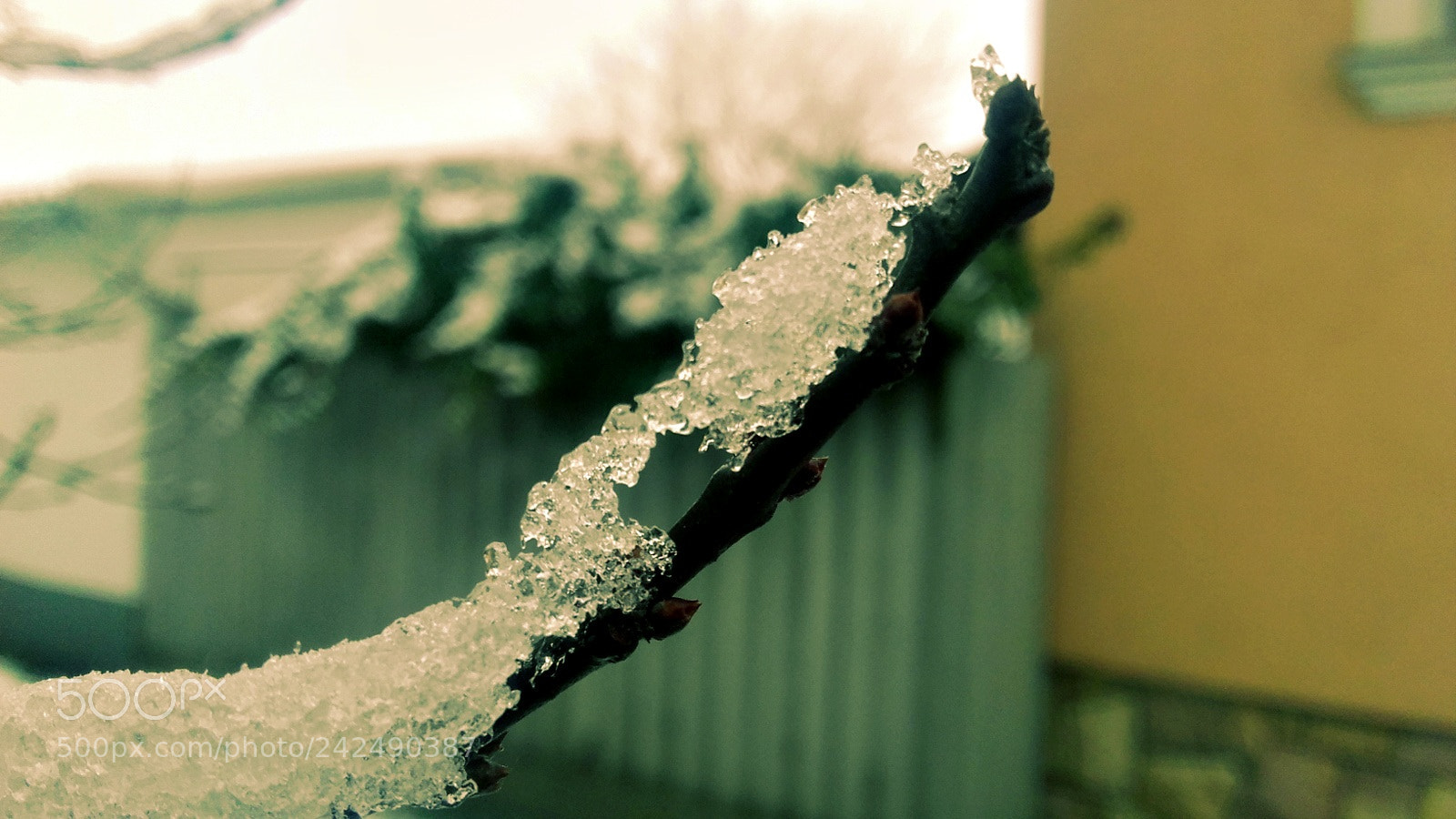 Samsung Galaxy Grand Prime sample photo. Fisrt snow of the photography