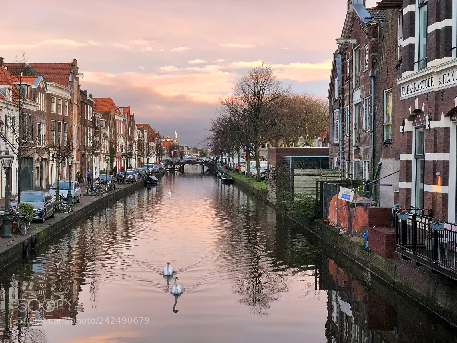 Apple iPhone X sample photo. Swans in the oude photography