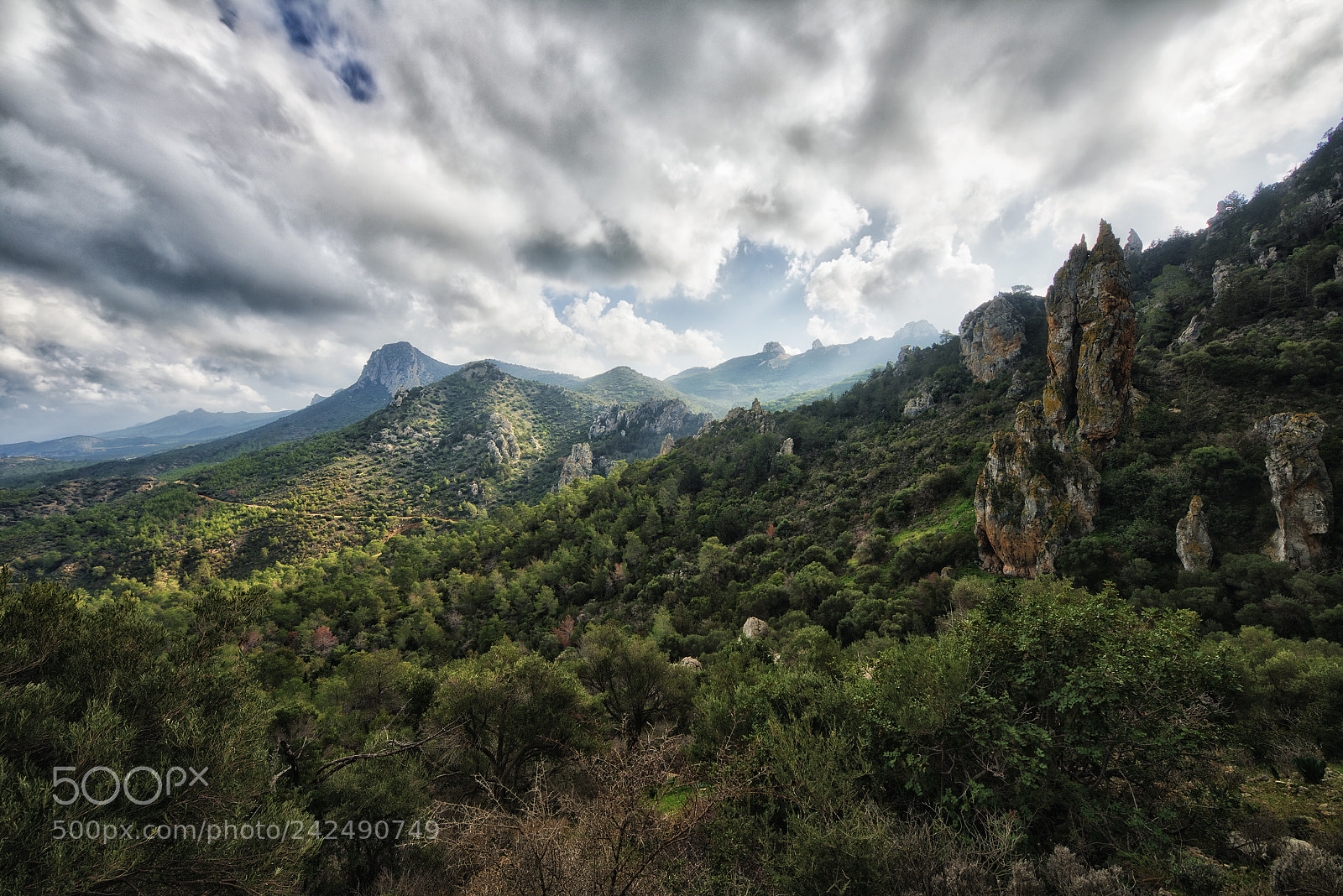 Nikon D800 sample photo. Pentadaktylos mountains photography