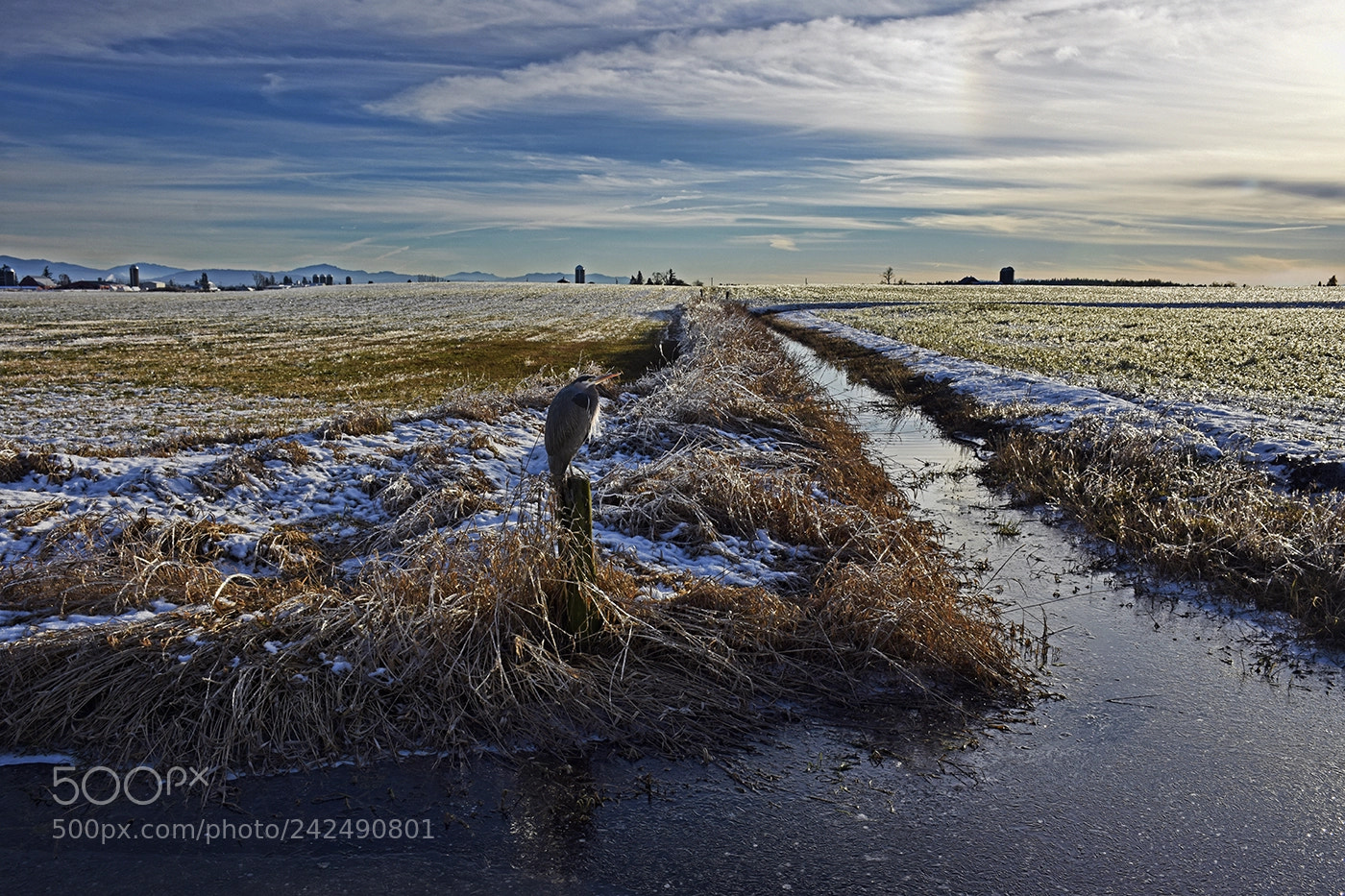 Nikon D7200 sample photo. Valley floor and cold photography