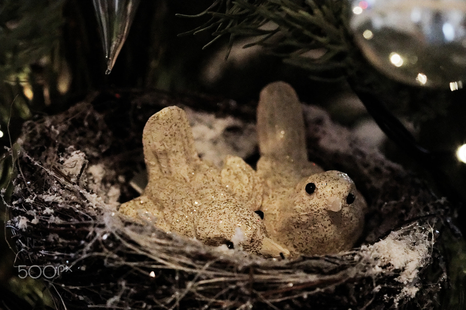 Canon EF 100mm F2.8 Macro USM sample photo. Goodbye christmas photography