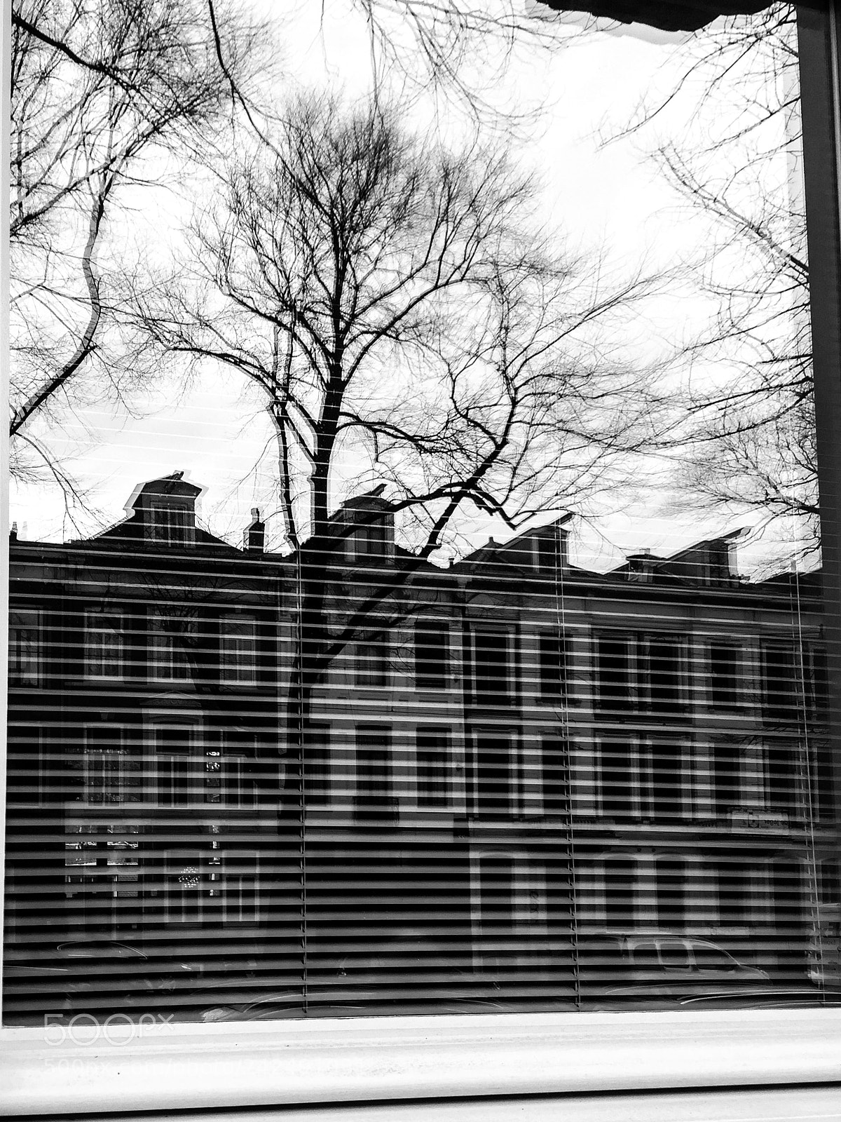 Apple iPhone 6 sample photo. Wooden blinds photography