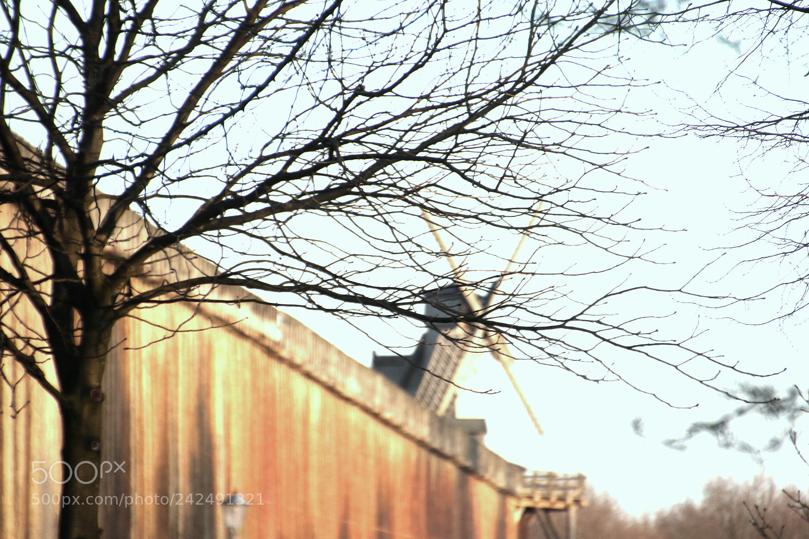 Canon EOS 7D Mark II sample photo. Painting with camera- salinen photography