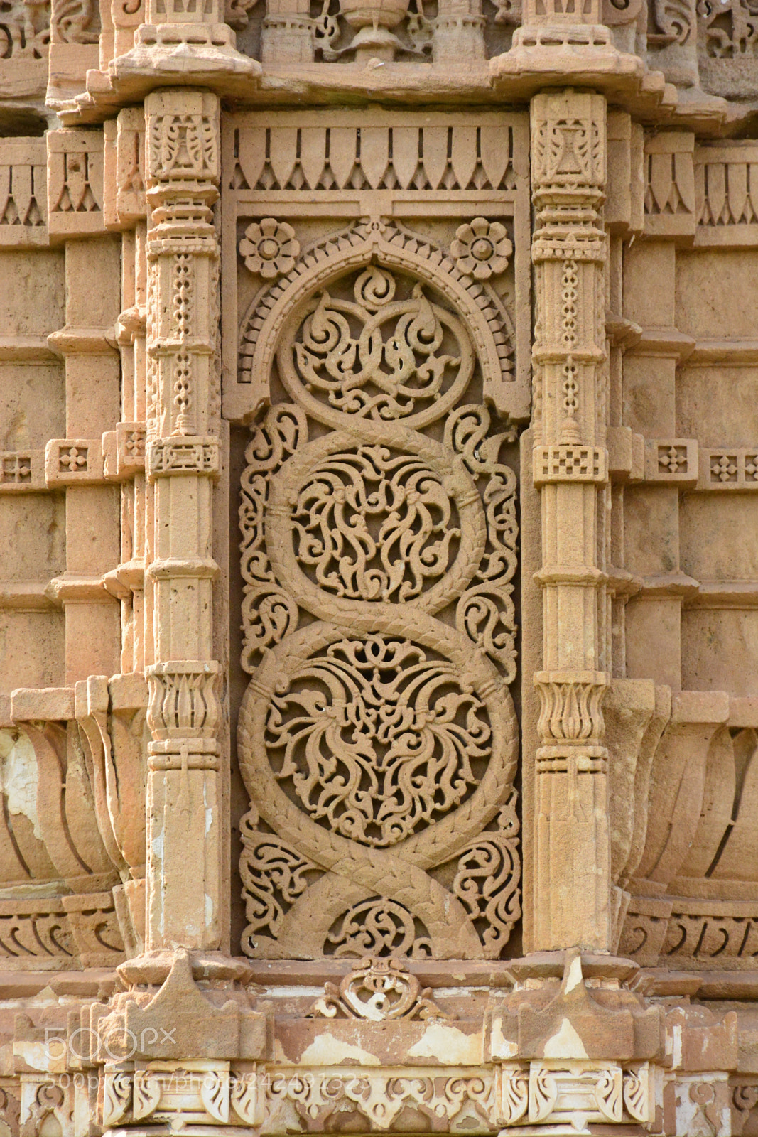 Nikon D7100 sample photo. Tree of life photography