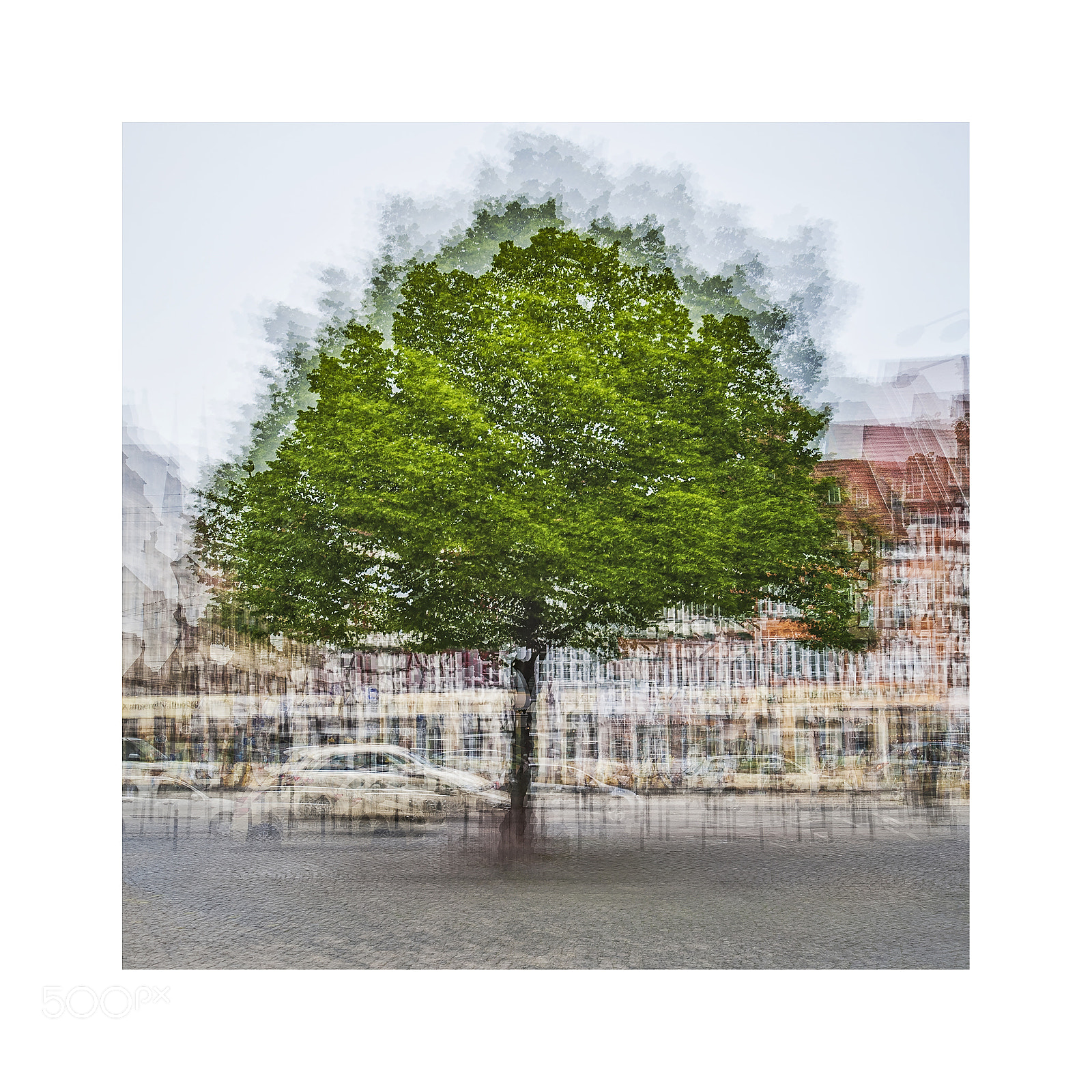 Nikon D700 sample photo. Urban trees #2014 erfurt photography