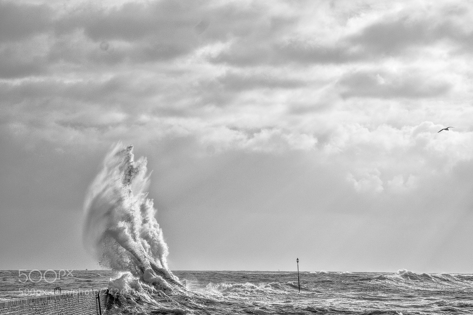 Fujifilm X-T1 sample photo. Gros temps photography