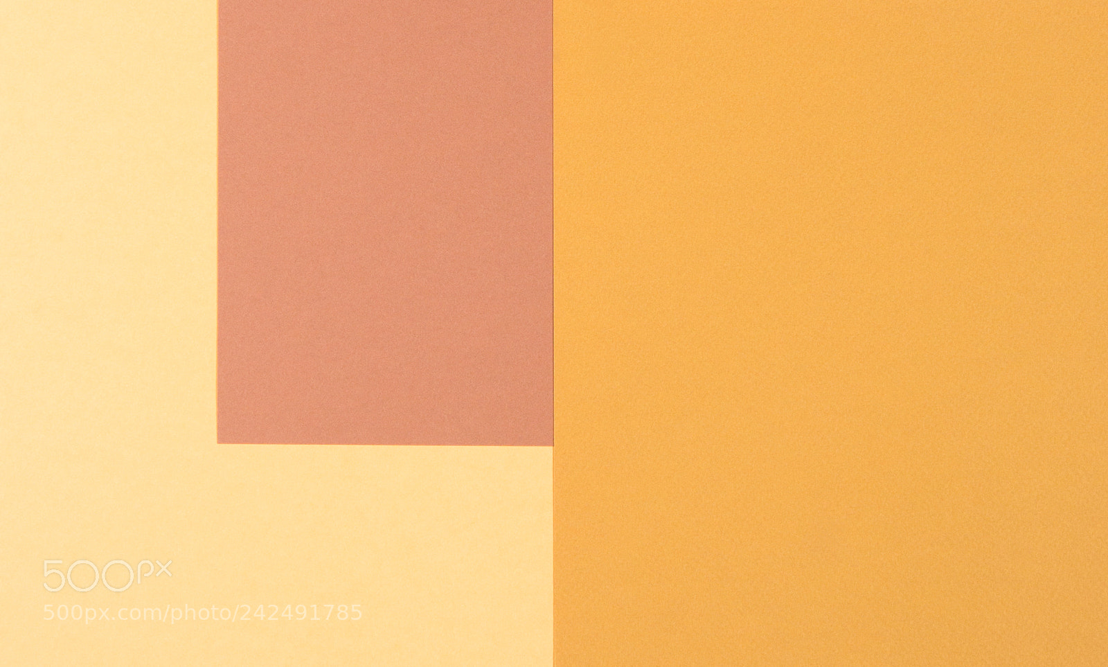 Sony Alpha NEX-5 sample photo. Colorful of soft orange photography