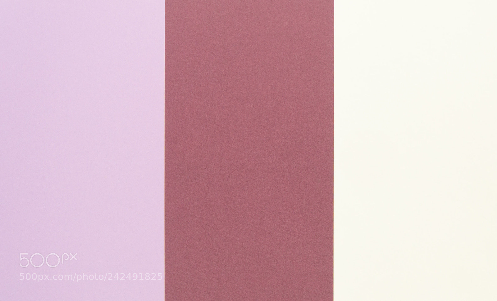 Sony Alpha NEX-5 sample photo. Colorful of soft violet photography