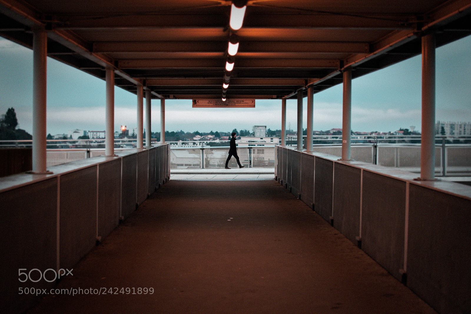 Nikon D610 sample photo. To the bridge photography